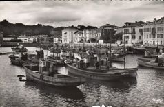 CPM Saint Jean de Luz (B Pyr ) Le Port