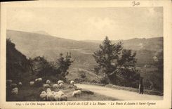CPA Saint Jean de Luz a la Rhune La Route d'Ascain a Saint Ignace