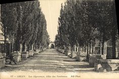 CPA Arles Les Alyscamps Allee des Tombeaux