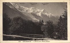 CPA Chamonix L'Arve et le Mont Blanc 