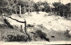 CPA Paris Plage Derniers Sapins des Dunes 