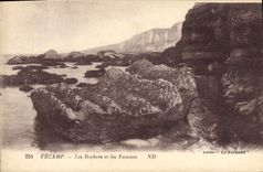 CPA Fecamp Les Rochers et les Falaises 