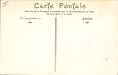 CPA Pau Le Vieux Palais et l'Entree du Parc 