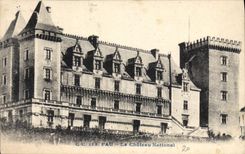 CPA Pau Le Chateau National 