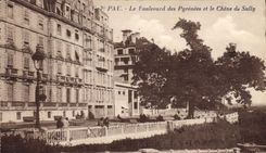 CPA Pau Le Boulevard des Pyrenees et le Chene de Sully 