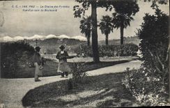 CPA Pau La Chaine des Pyrenees Vue d'un coin du Boulevard 