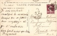 CPA Pau Le Boulevard des Pyrenees 