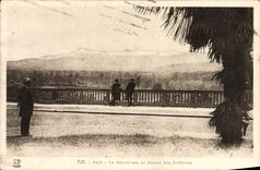 CPA Pau Le Boulevard et Chaine des Pyrenees 