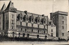 CPA Pau Le Chateau National 