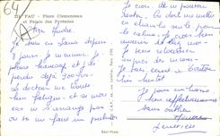 CPM Pau Place Clemenceau et Palais des Pyrenees