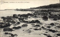 CPA Fouras Le Cadorel Un coin de Mer et de Sapins 