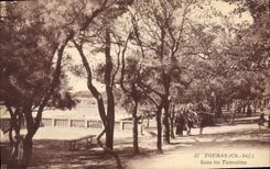 CPA Fouras Sous les Tamarins 
