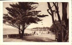 CPA Fouras les Bains Charente Promenade des Sapinettes dominant la grande plage 