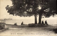 CPA Fouras Les deux Chenes boulevard de l'Ocean 