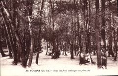 CPA Fouras Sous les frais ombrages en plein ete 