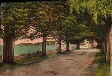CPA Fouras Boulevard de l'Ocean 