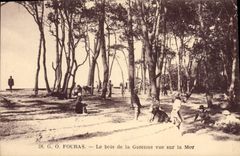 CPA Fouras Le bois de la Garenne vue sur la Mer 