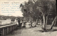 CPA Fouras Les Sapinettes 
