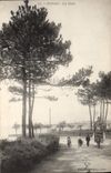 CPA Royan Au Parc 
