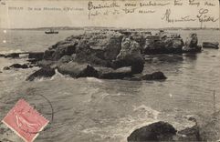 CPA Royan Ile aux Mouettes a Vallieres 