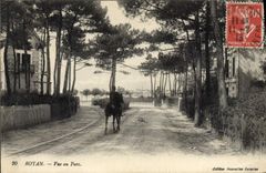 CPA Royan Vue au Parc 