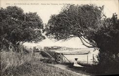 CPA Environs de Royan Sous les Yeuses au Bureau 