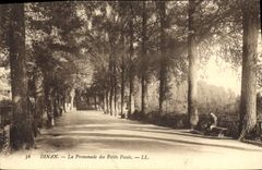 CPA Dinan La Promenade des Petits Fosses 