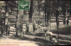 CPA Nancy Un coin de la Pepiniere Les antilopes Zoo