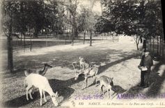 CPA Nancy La Pepiniere Le Parc aux Cerfs 