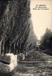 CPA Arles Les Alyscamps Allee des Tombeaux 