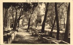 CPA Arles Les Alyscamps Champs Elysees Romains 