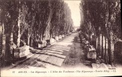CPA Arles Les Alyscamps L'Allee des Tombeaux 