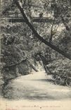 CPA Lamalou le Haut L'Allee des Soupirs Velo Cycle