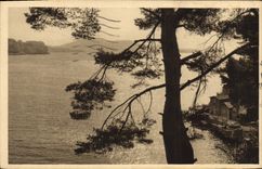 CPA Toulon Var Anse de Magaud 