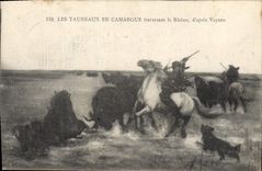 CPA Les Taureaux en Camargue traversant le Phone d'apres Vayson 