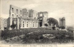 CPA Environs d'Arles Mont Major Les Ruines de l'Abbaye 