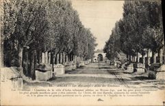 CPA Arles Les Alyscamps Allee des Tombeaux 