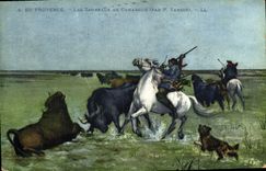 CPA En Provence les Taureaux de Camargue par P Vayson 