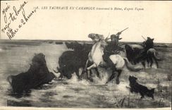 CPA Les Taureaux en Camargue traversant le Rhone d'apres Vayson 