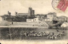 CPA Vue generale des Saintes Maries Moutons*