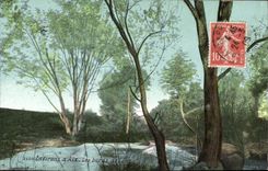 CPA Environs d'Aix Les bords de l'Arc 