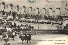 CPA Course de taureaux Espagnole aux Arenes d'Arles Suerte de Pica Corrida