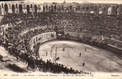 CPA Arles les Arenes cours de Taureaux la pose des Banderilles 