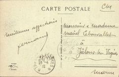 CPA STRASBOURG Un Nid de Cigognes