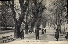 CPA MONTPELLIER Une Allee du Peyrou