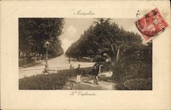 CPA Montpelier L'Esplanade