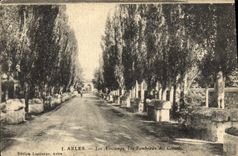 CPA Arles Les Aliscamps Les Tombeaux des Consuls 