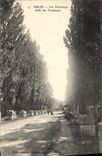 CPA Arles Les Alyscamps Allee des Tombeaux 