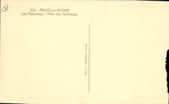 CPA Arles sur Rhone Les Alyscamps Allee des Tombeaux 