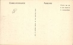 CPA Arles vue d'ensemble des Ruines du Theatre Antique 